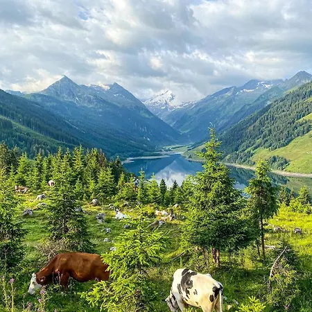 Schmezlhof Zell am Ziller